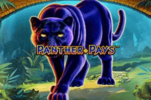 Panther Pays - ZENPLAY77