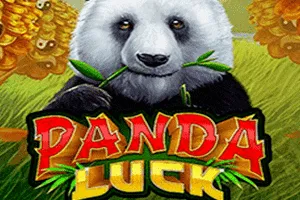 Panda Luck - ZENPLAY77