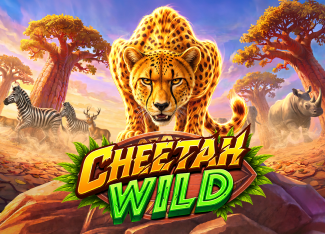 Cheetah Wild - ZENPLAY77