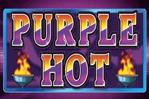 Purple Hot - ZENPLAY77