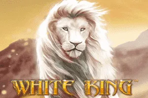 White King - ZENPLAY77
