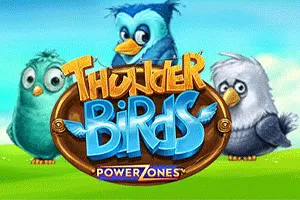 Power Zones: Thunder Birds - ZENPLAY77