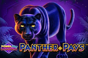 Panther Pays Power Play Jackpot - ZENPLAY77